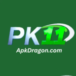 Pak11 Game