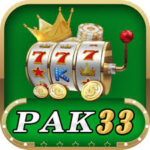 Pak 33 Game