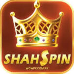 ShahSpin Game