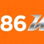 FE786 Game