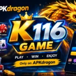 k116 game